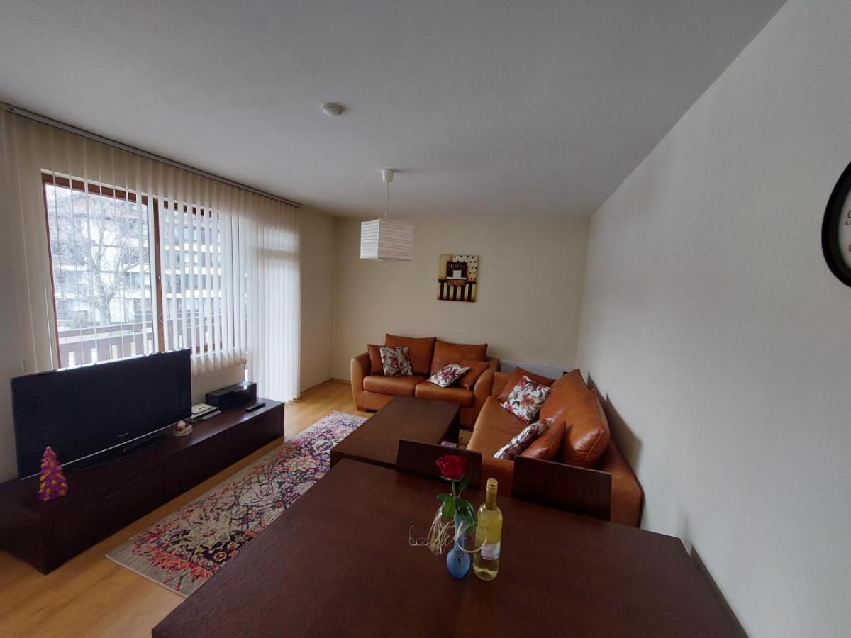 Apartment Pirin 班斯科 外观 照片
